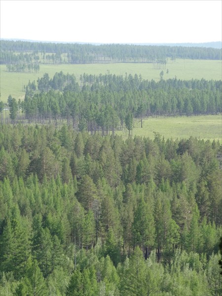 Конда Витим 64